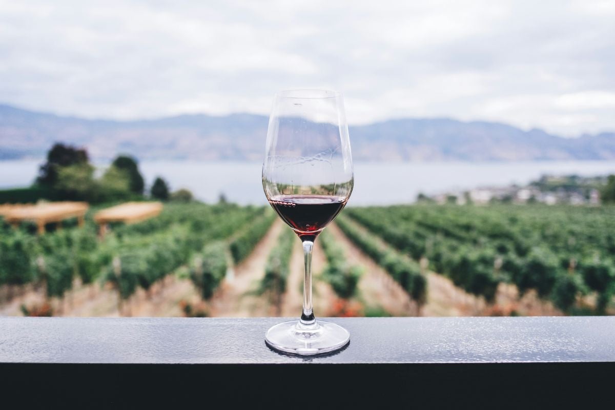 How Pinot Noir Differs Across New Zealand