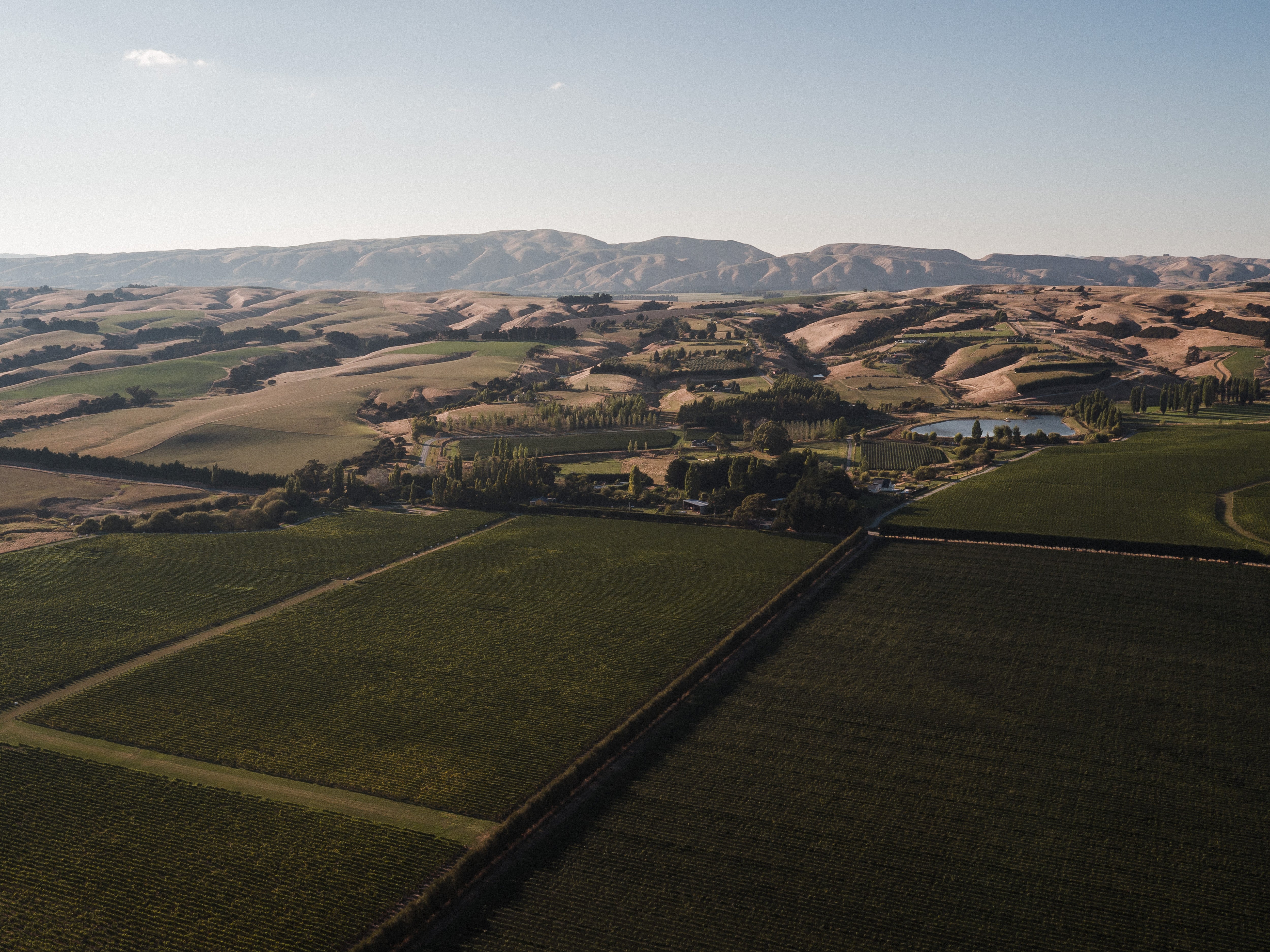 It\'s Pinot Noir Month! 1
