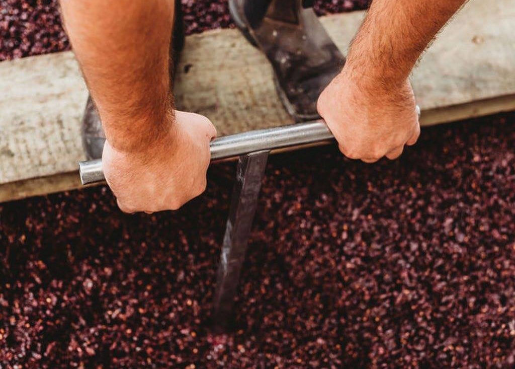 It\'s Pinot Noir Month! 2