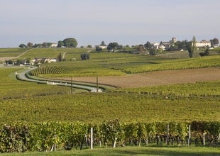 Day Seven: Au Revoir Bordeaux and trouble at airport security 