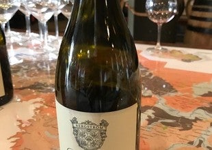 Day 12 - Bergström Vineyard 