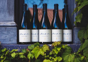 2013 release of Millton Clos de Ste Anne - rave reviews, tiny allocations