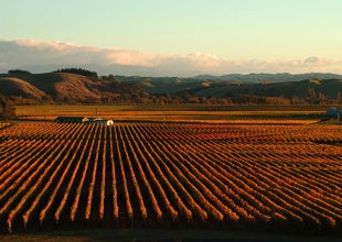 2 NZ wines make World Top 20 Wines of 2014