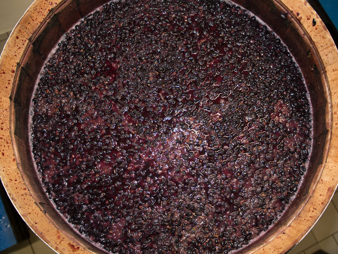 Celebrate Organic Wine Week 2021 1