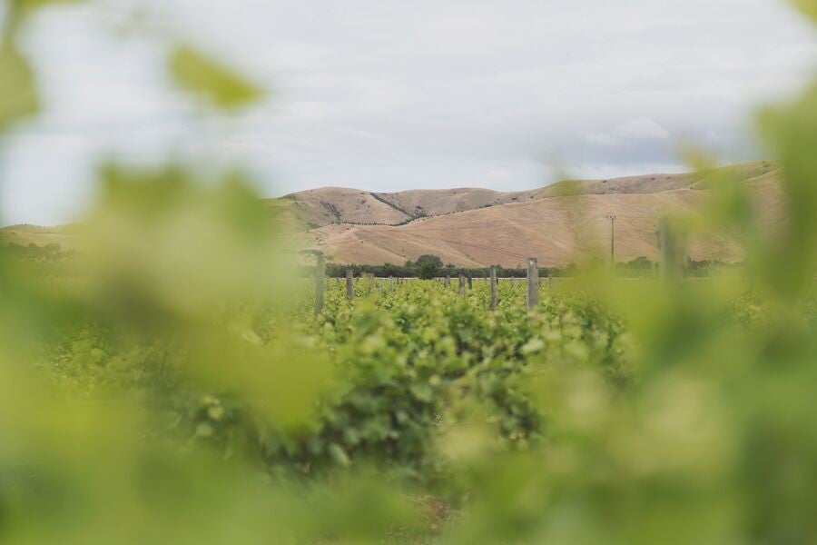 HUIA – Made from the land with love 0