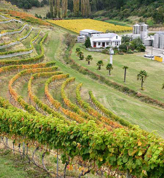 Esk Valley - A Piece of New Zealand History  3