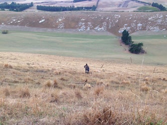 Pyramid Valley