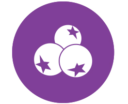 Beer berry