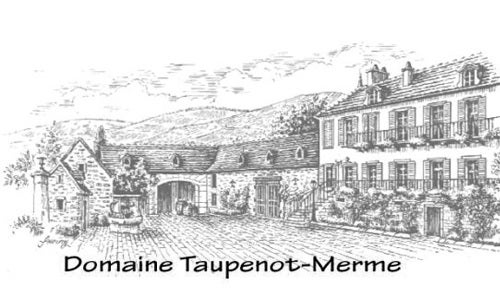 Domaine Taupenot-Merme Wines