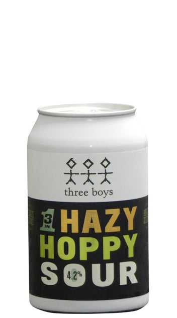  Three Boys Happy Hoppy Sour IPA 330ml can