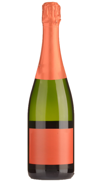  Hidden Label Single Vineyard Champagne