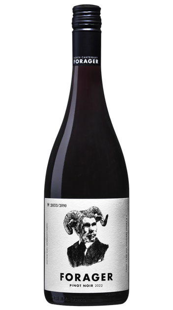 2022 Forager Vineyard Ferment Pinot Noir